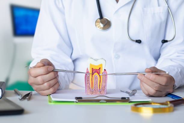 Best Emergency Dental Care for Broken or Chipped Teeth in District Heights, MD